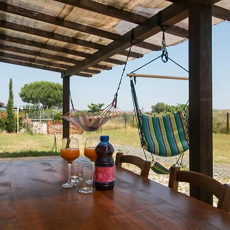 Fattoria Palazzeta - Pet & Family Friendly Cecina (Livorno)