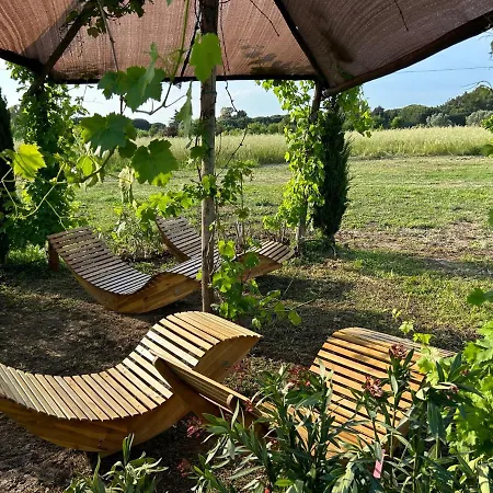 Fattoria Palazzeta - Pet & Family Friendly Cecina (Livorno)