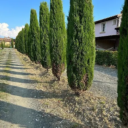 Fattoria Palazzeta - Pet & Family Friendly