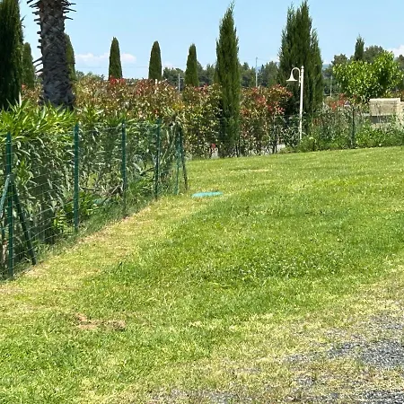 Fattoria Palazzeta - Pet & Family Friendly