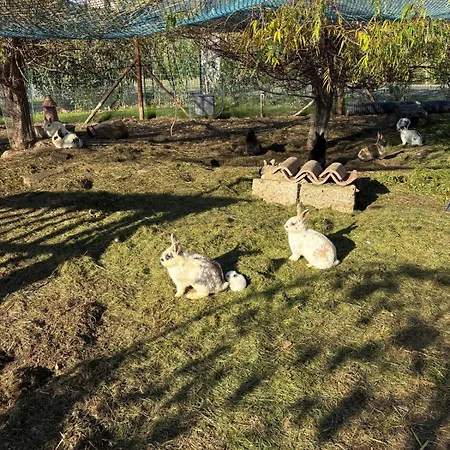 Aparthotel Fattoria Palazzeta - Pet & Family Friendly Cecina (Livorno)
