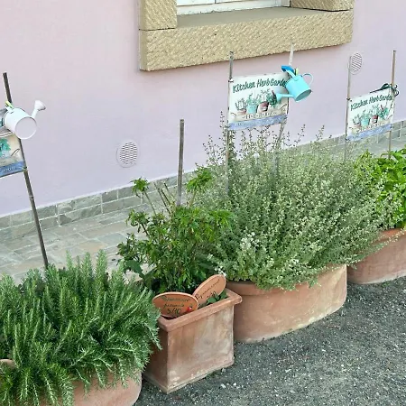 Fattoria Palazzeta - Pet & Family Friendly Aparthotel *